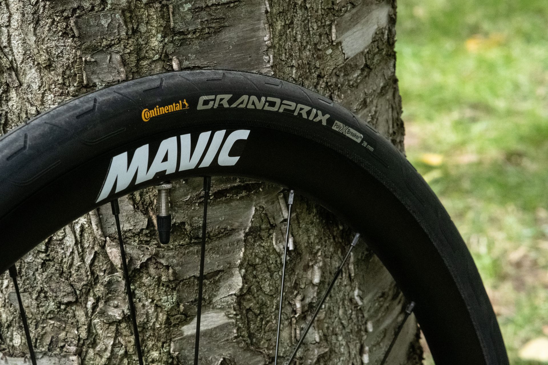 mavic ksyrium 30