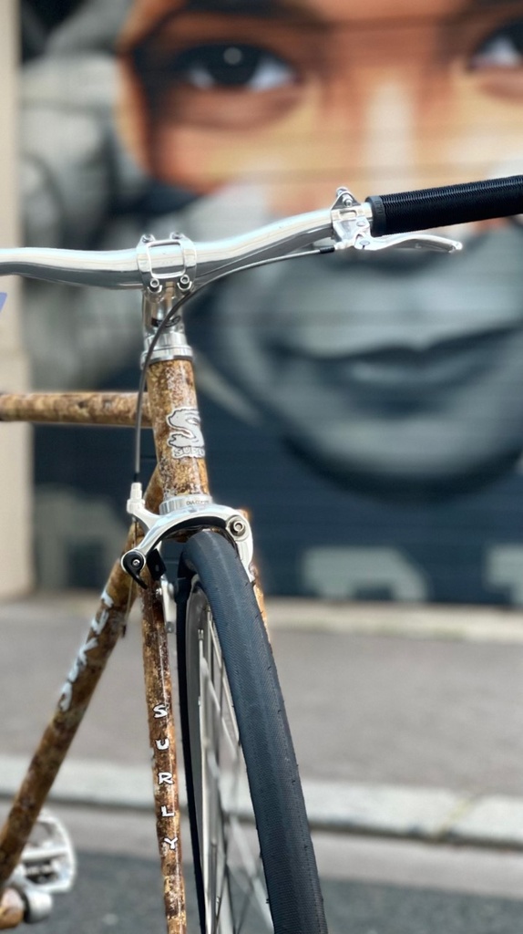 [montage] Surly Steamroller 53cm
